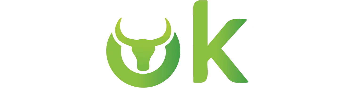 Stokzy Logo